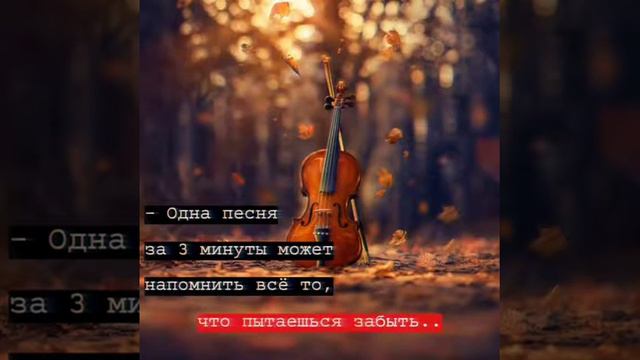 Цитаты  смотрите смотреть онлайн