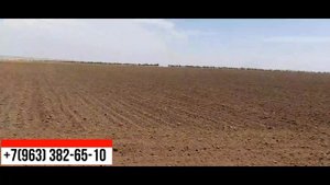 Культиватор Carbon K16000 с евроскладыванием в работе !