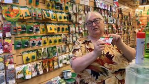 Погода в Белебее. Как собрать хороший урожай в холодное лето.