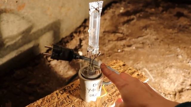 Бактерицидная лампа от плесени у меня дома-.mp4 смотреть онлайн