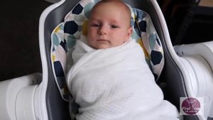 2 OYLIK CHAQALOQLAR PARVARISHI