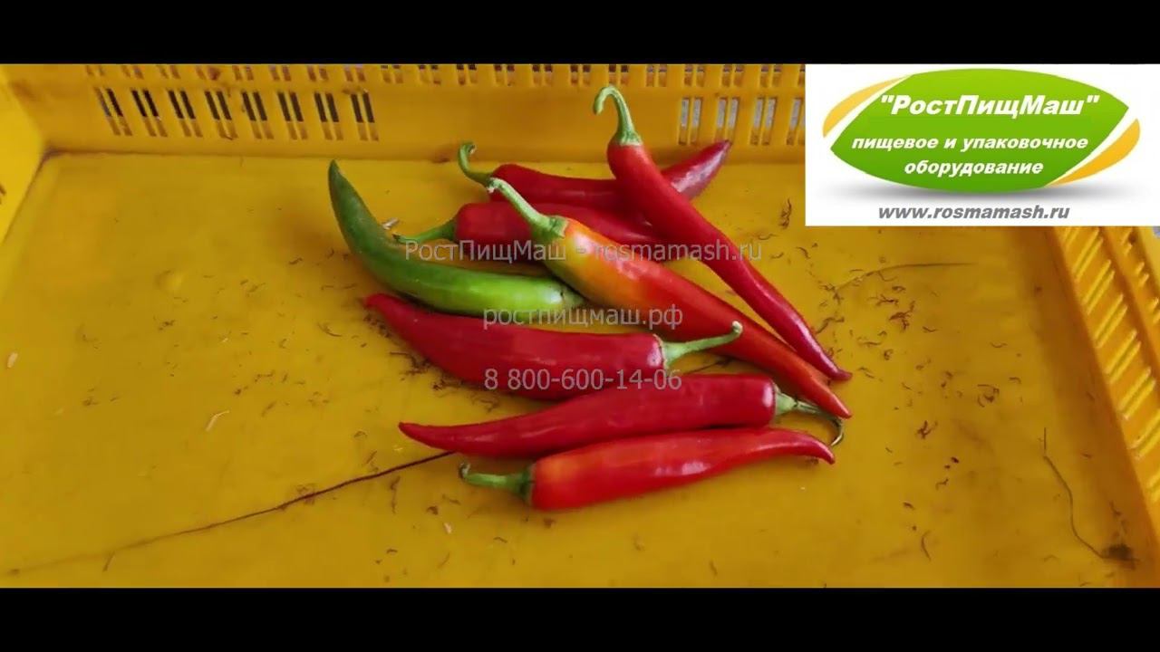 Машина нарезки овощей QC-660 от РостПищМаш. Нарезка перьевого лука и острого перца. смотреть онлайн