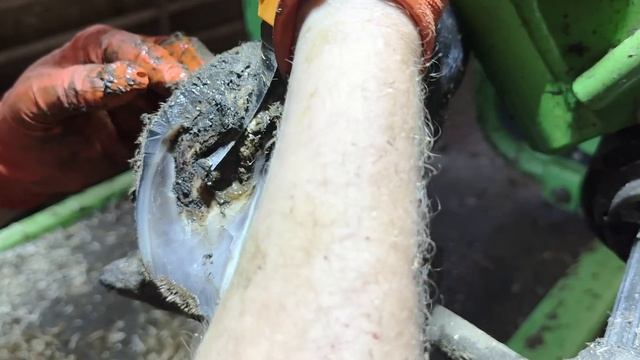 she was in AGONY!!!! смотреть онлайн