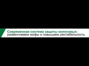 Современная система защиты колосовых: развенчиваем мифы и повышаем рентабельность