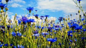 вдали погас последний луч заката