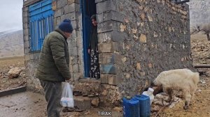 Discharge man of the caveman from the hospital and his request for help from the nomadic mother