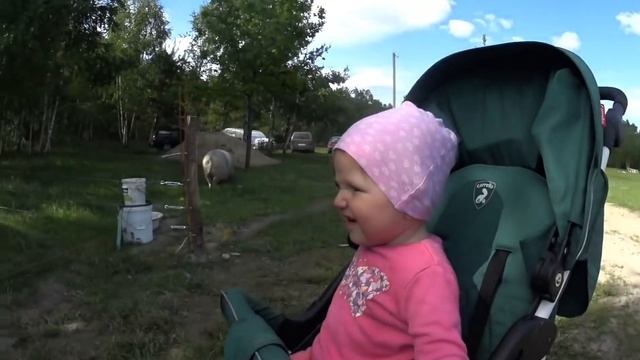 ✅ ЧЕРНИЧНЫЙ ХУТОР встретил гостей. Хозяйство без хозяев.