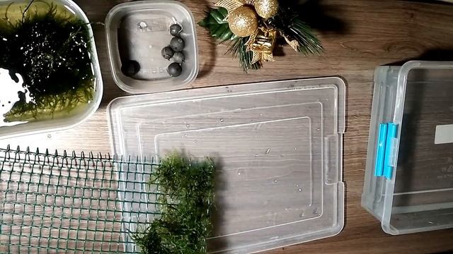 Между делом|Стена из мха