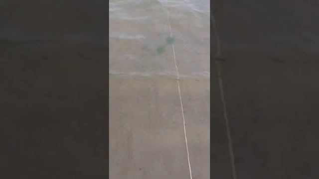 Ловля сазана! База Замьяны --спасибо друзья за хорошо проведенный отпуск. смотреть онлайн