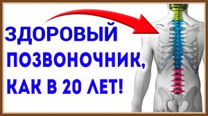 ПОЗВОНОЧНИК И ЗДОРОВЬЕ ЧЕЛОВЕКА