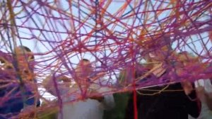 Шерстяное шоу