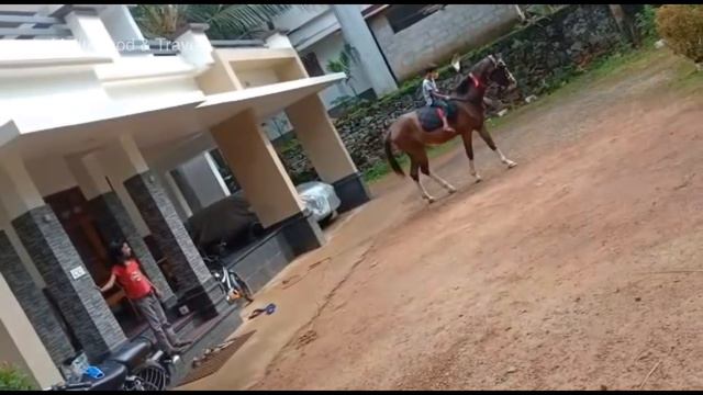 My horse 🐎 ride. എന്റെ കുതിര സവാരി смотреть онлайн