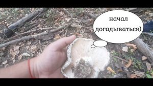 Грибы осенью 2021 Грузди и опята в Астраханской области.