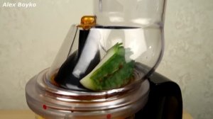 Бедная соковыжималка! Сок из КАКТУСА! Пробую его на вкус! Что если сделать сок? Alex Boyko