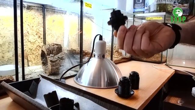 Как выбрать патрон для светильника в террариуме смотреть онлайн