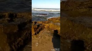 Змееловы на Каспийском море. Лето/Море/Змеи