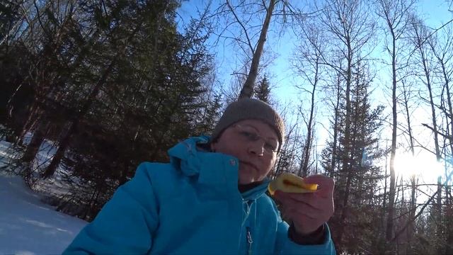 Воскресный одиночный лыжный походик в лес. Пермь. 23 февраля 2020 смотреть онлайн