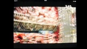 Сетевой ТВ-тюнер AverMedia HomeFree Combo F210 (iPhones.ru)