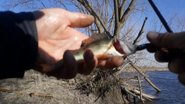 Ловля окуня на спиннинг весной с берега на джиг на ультралайт смотреть онлайн