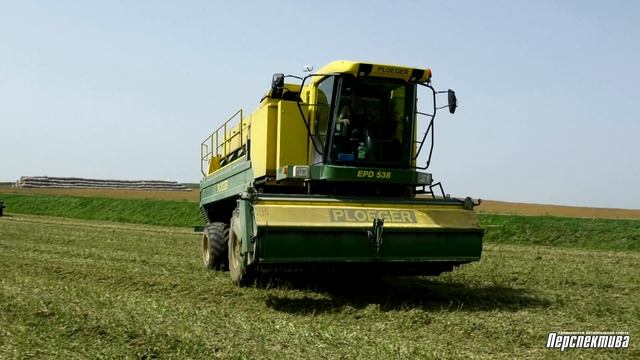 Как убирают зеленый горошек в СПК им.Деньщикова смотреть онлайн