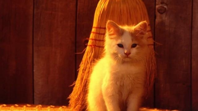 Она наняла рабочих и быстренько сломали стенку двух разных квартир. Две спальни в одну большую. смотреть онлайн