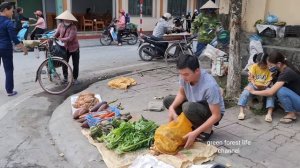 Robert sells vegetables in city. City people love vegetables from the forest. Green forest life