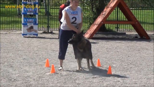 Русский Ринг 2012 в Санкт-Петербурге. смотреть онлайн