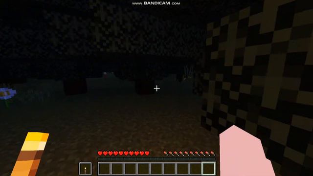 Потерял свой симпл-димпл ночью в лесу, и пытаюсь найти его! смотреть онлайн