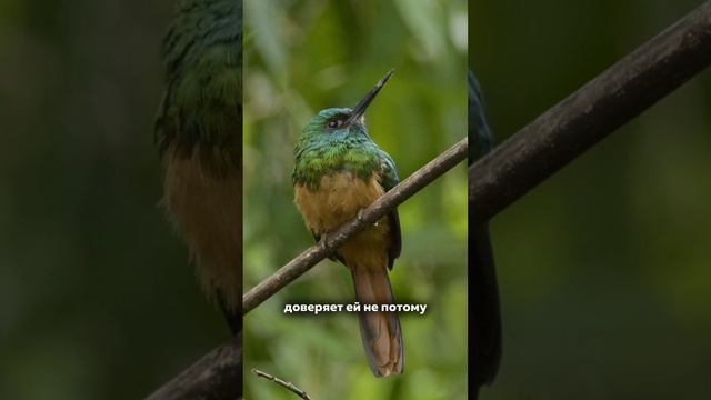 Доверие другим начинается с доверия себе.