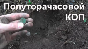 Полуторачасовой коп