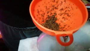 супер способ замачивания и высева семян моркови и не только.