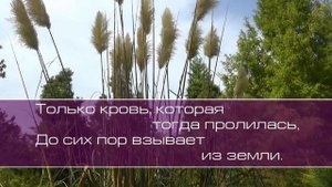 Анжелика Вишня. Вечеря