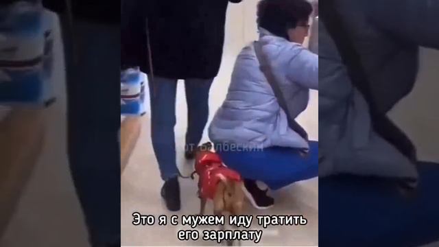 Смешное видео про людей и животных