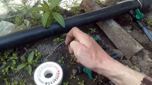 Как устранить течь в фитинге капельного полива.