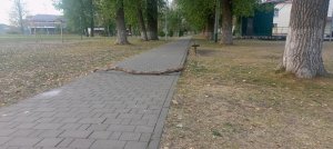 Заброшка шок