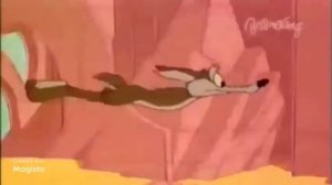 Wile E. Coyote and The Road Runner: Highway Runnery