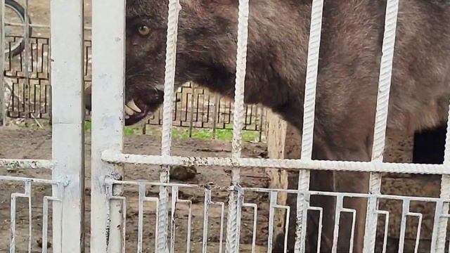 Бетонные полы для ангара которые не пылят и не крошатся промышленные полы