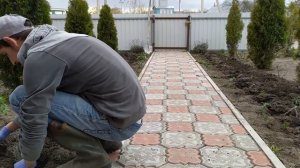 Посадка бордюра из лаванды, своими руками. Результат работы.