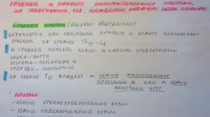 Билет 088. ГРУДНОЙ И ПРАВЫЙ ЛИМФАТИЧЕСКИЕ ПРОТОКИ, ИХ ТОПОГРАФИЯ, ХОД, ВПАДЕНИЕ.