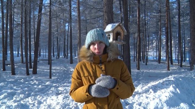 ЕЗДОВЫЕ СОБАКИ | ХАСКИ смотреть онлайн