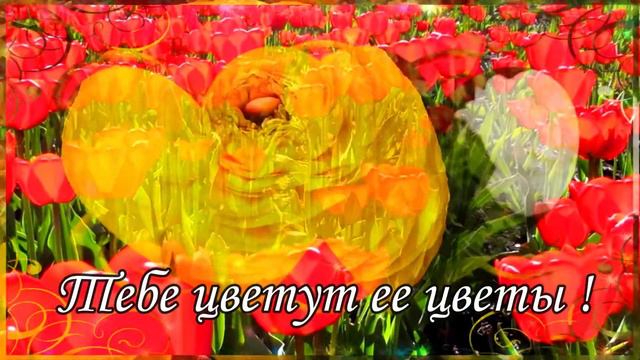 🌼🌸Супер поздравление 8 марта!🌷🌻С Международным женским днем🌹🌹 смотреть онлайн