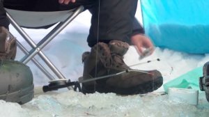 Ловля чебака на мормышку