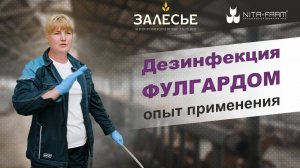 Дезинфекция_в_животноводстве：_опыт_применения_средства_Фулгард