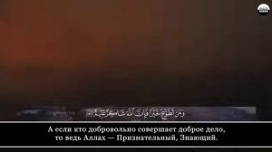 Коран сура 2 "Аль-Бакара" аяты 154-163