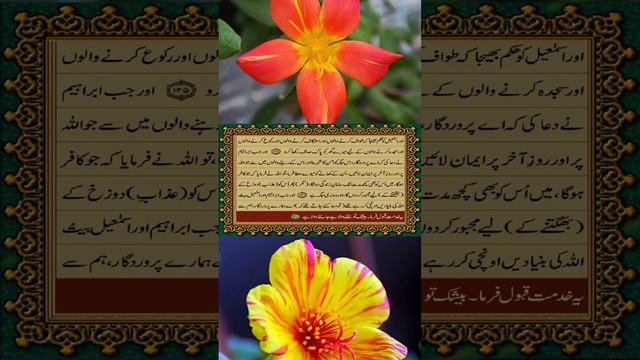 Quran pak tarjuma // urdu // part 33