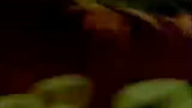 Kaka vs Kung Fu Panda смотреть онлайн