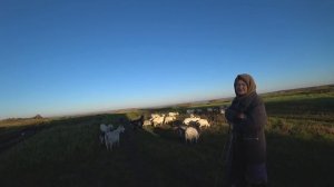 ЧТО ПОТЕРЯЛИ ЛЮДИ ЗАТОПЛЕННОГО ГОРОДА. КОП. Кладоискатель Руся.
