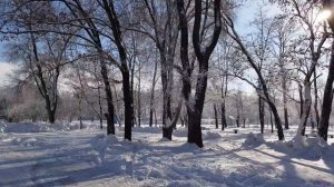 Зима 2019. МНОГО снега и красивый вид...