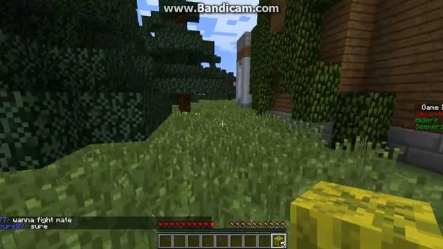 Minecraft Hide'n'Seek Map Glitch #1 - in the Map Villa смотреть онлайн