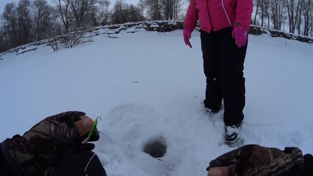 ВЗЯЛ МАШУ НА ДИКИЙ КЛЕВ ОКУНЯ НА БАЛАНСИР!!!Рыбалка на Алтае ,коряги, ,безмотылка, ловля язя. смотреть онлайн